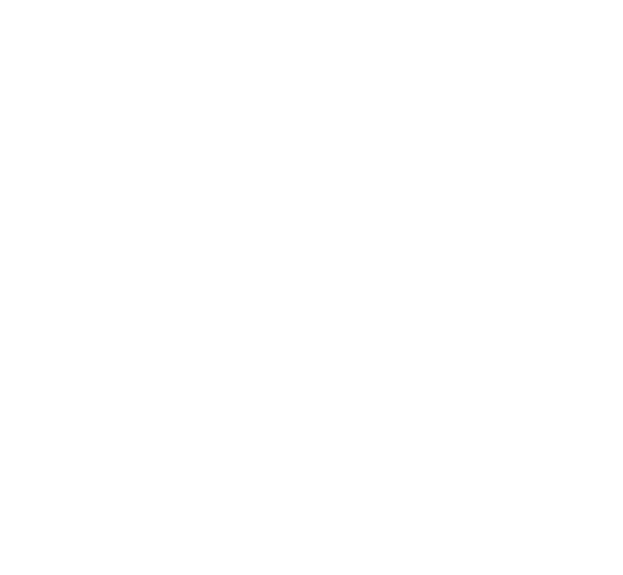 NORFORK & WESTERN INDUSTRIES